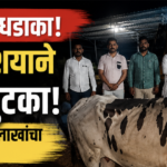 जिंतूर पोलिसांचा मोठा धडाका; कत्तलीच्या संशयाने ७ बैलांची सुटका, ७.८३ लाखांचा मुद्देमाल जप्त”
